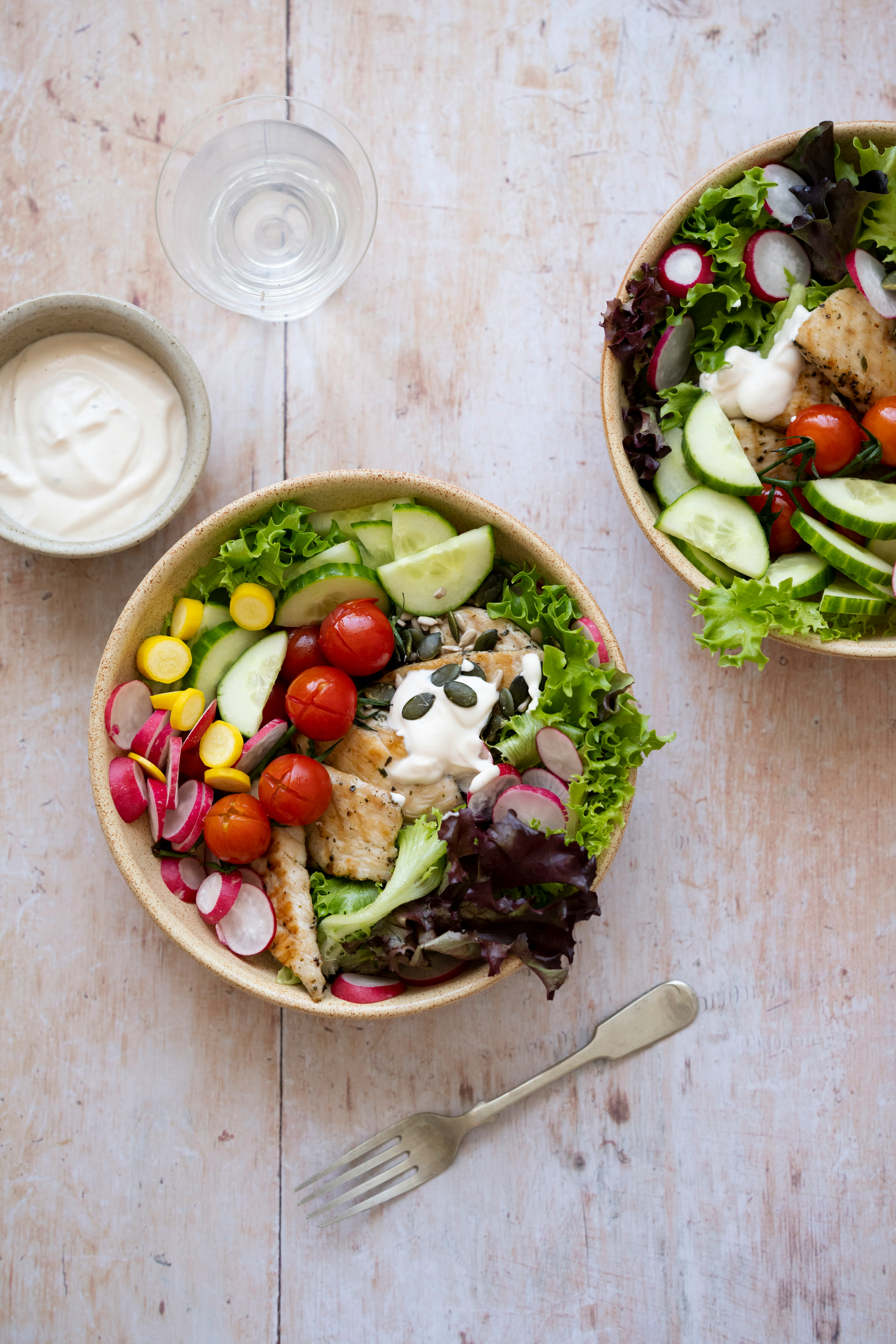 bowl with tomatoes, squash, lettuce radishes, chicken, sour cream, and sunflower seeds