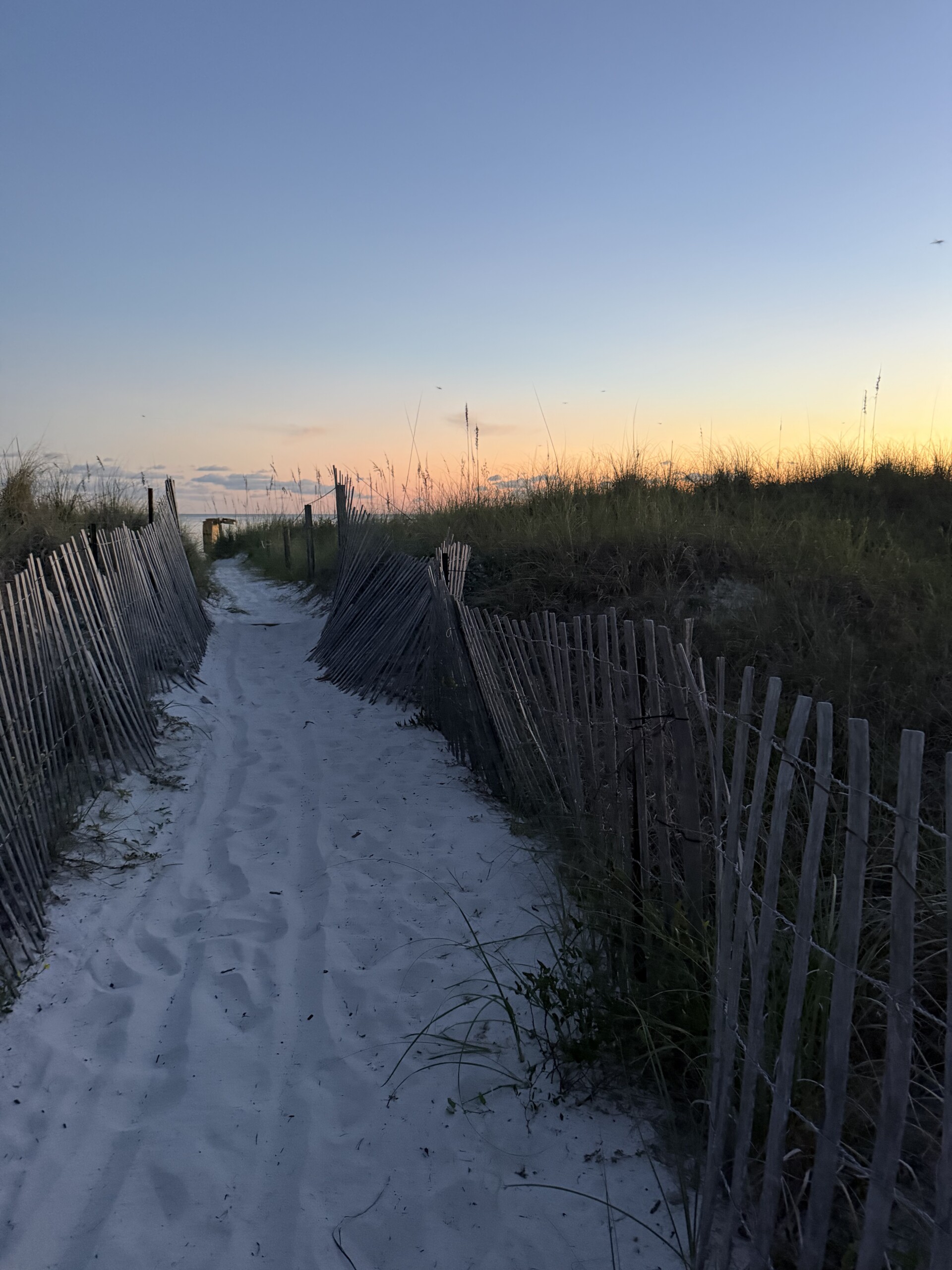 Sandy path leading toward the beach at sunset, inspired by Proverbs 3:5–6 and trusting God to direct our path